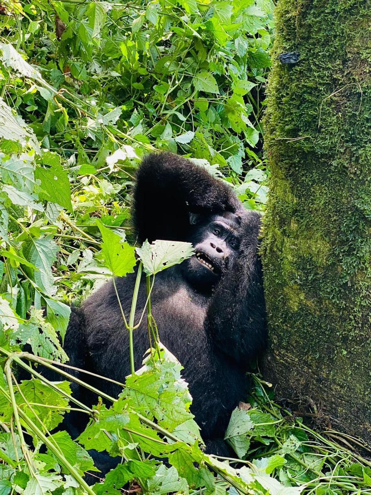 Om Hostel Bunyonyi Kabale エクステリア 写真